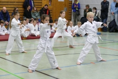 P1360602_bearbeitet-1