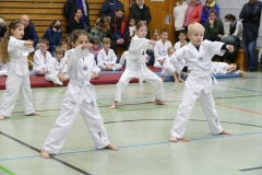 P1360611_bearbeitet-1