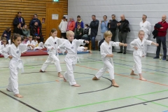 P1360630_bearbeitet-1