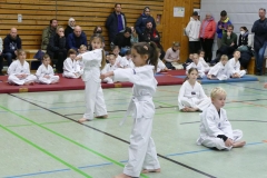 P1360638_bearbeitet-1