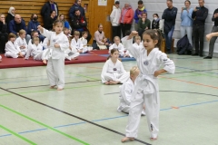 P1360641_bearbeitet-1