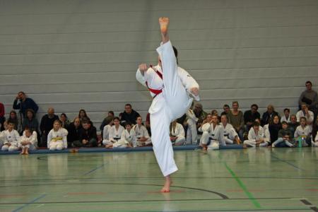 IMG_1515_bearbeitet-1