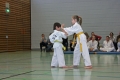 IMG_3458_bearbeitet-1