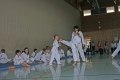 IMG_1951_bearbeitet-1