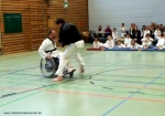 2011_04_02Rollstuhltaekwondo 3041