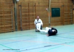 2011_04_02Rollstuhltaekwondo 3392