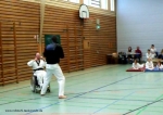 2011_04_02Rollstuhltaekwondo 3522