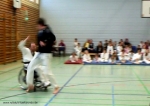 2011_04_02Rollstuhltaekwondo 3718