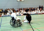 2011_04_02Rollstuhltaekwondo 4077