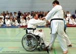 2011_04_02Rollstuhltaekwondo 5074