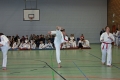 IMG_7165_bearbeitet-1
