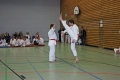 IMG_7173_bearbeitet-1