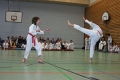 IMG_7252_bearbeitet-1