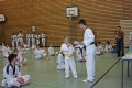 IMG_7379_bearbeitet-1