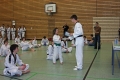 IMG_7386_bearbeitet-1