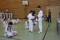 IMG_7397_bearbeitet-1