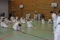 IMG_7428_bearbeitet-1