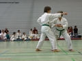 IMG_4421_bearbeitet-1.jpg