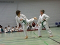 IMG_4426_bearbeitet-1.jpg