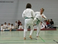 IMG_4442_bearbeitet-1.jpg