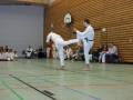 IMG_4502_bearbeitet-1.jpg