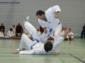 IMG_4593_bearbeitet-1.jpg
