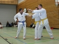 IMG_4617_bearbeitet-1.jpg