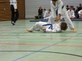 IMG_4706_bearbeitet-1.jpg