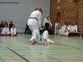 IMG_4712_bearbeitet-1.jpg