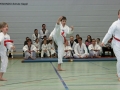 IMG_4768_bearbeitet-1.jpg