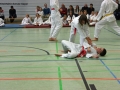 IMG_4851_bearbeitet-1.jpg