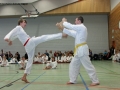 IMG_4873_bearbeitet-1.jpg