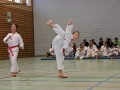 IMG_4910_bearbeitet-1.jpg
