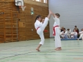 IMG_4925_bearbeitet-1.jpg
