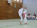 IMG_4931_bearbeitet-1.jpg