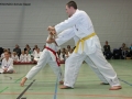 IMG_5017_bearbeitet-1.jpg