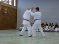 IMG_5108_bearbeitet-1.jpg