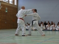 IMG_5115_bearbeitet-1.jpg