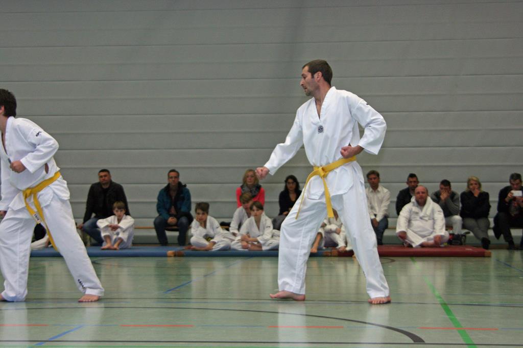 IMG_2811_bearbeitet-1
