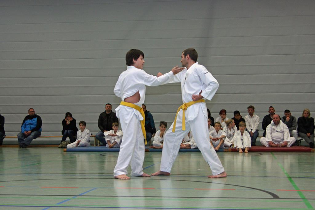 IMG_2817_bearbeitet-1
