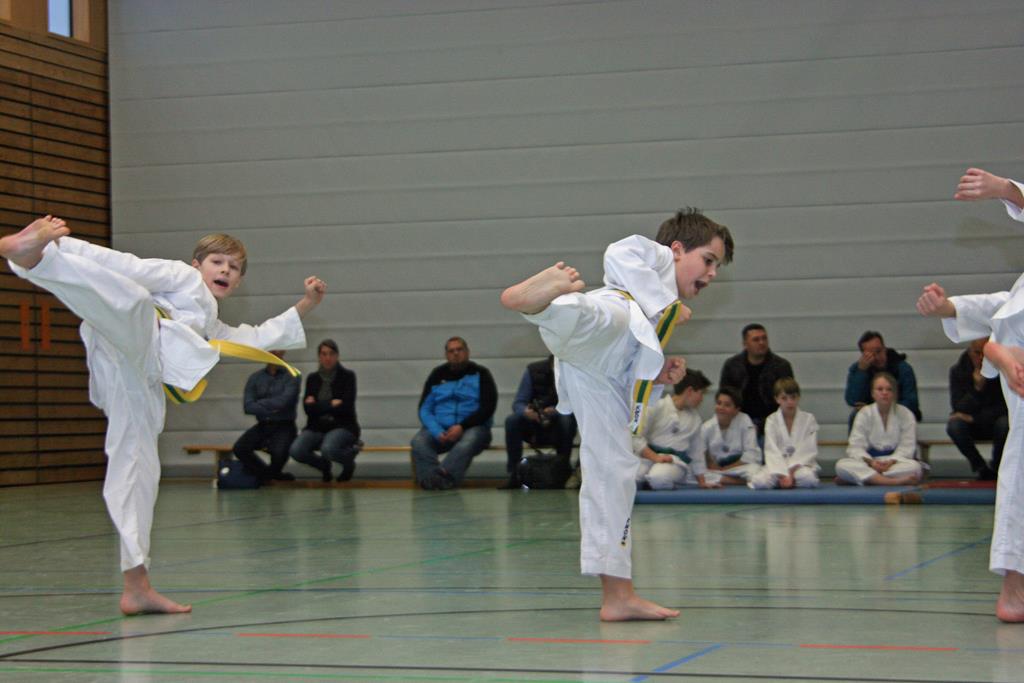 IMG_2850_bearbeitet-1