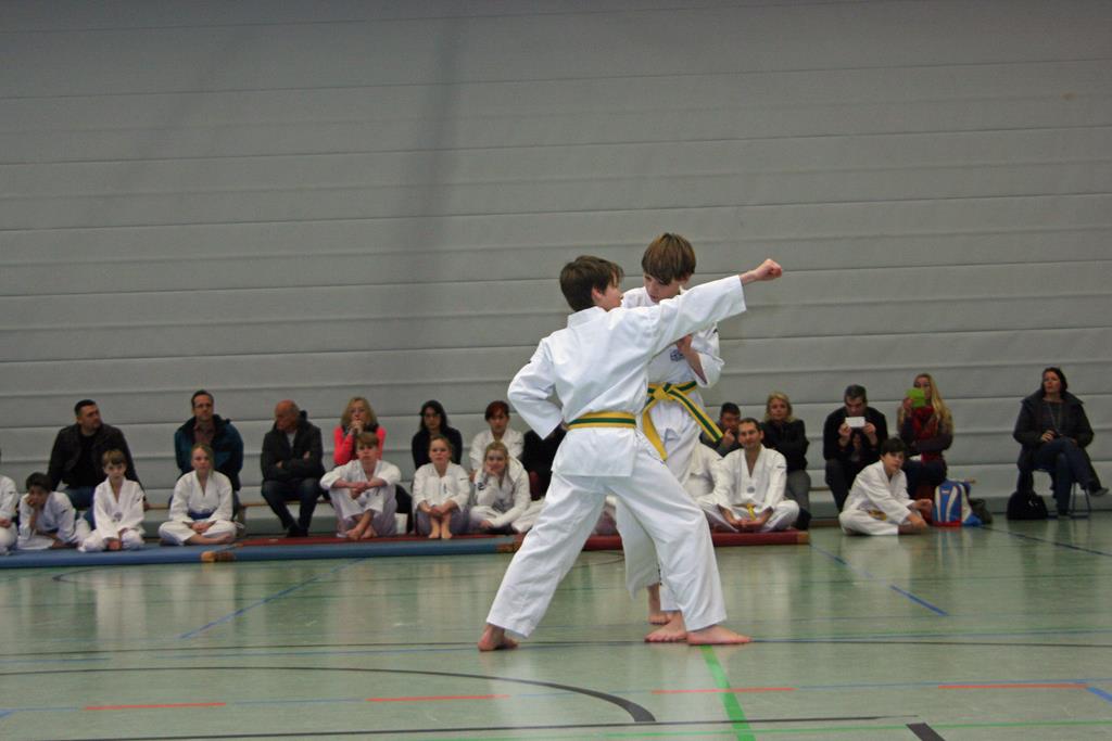 IMG_2862_bearbeitet-1