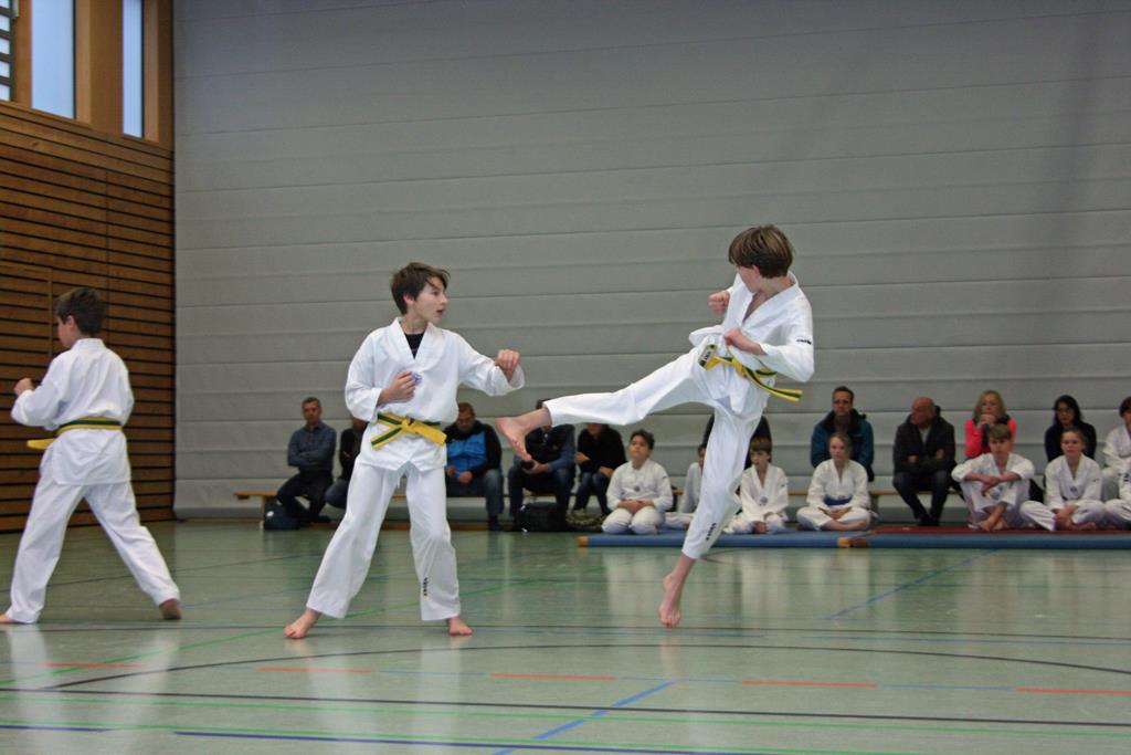 IMG_2866_bearbeitet-1