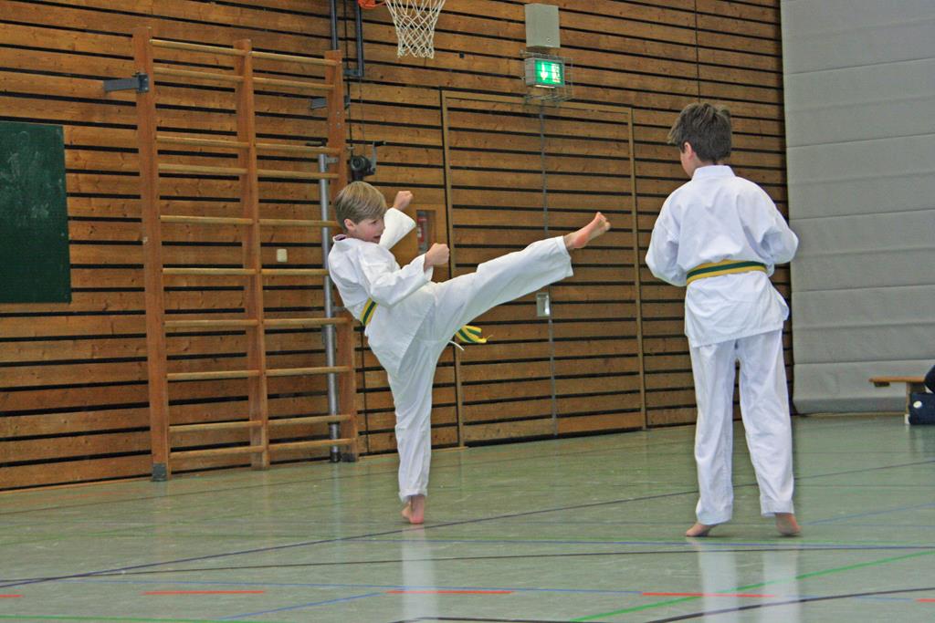 IMG_2868_bearbeitet-1