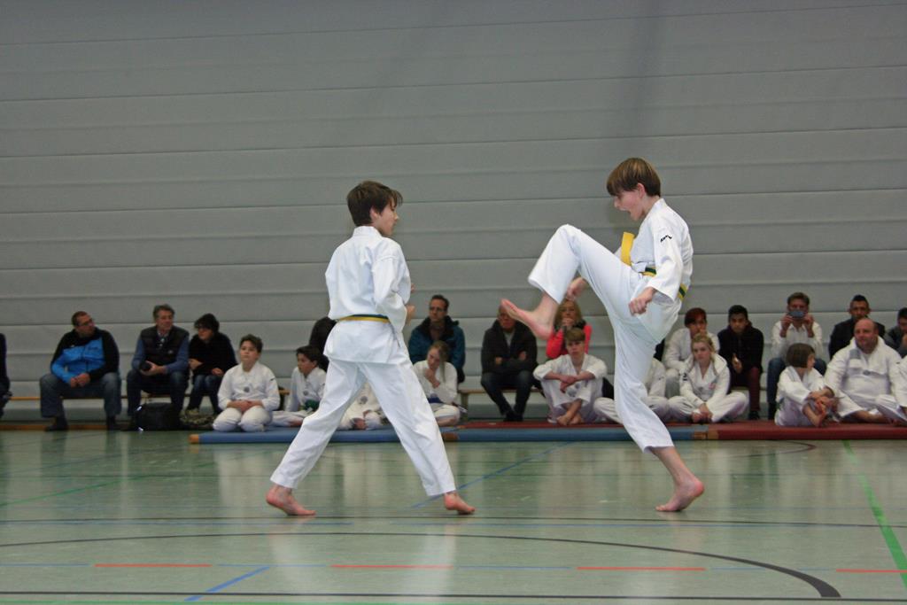 IMG_2871_bearbeitet-1