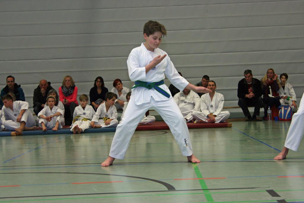 IMG_2884_bearbeitet-1