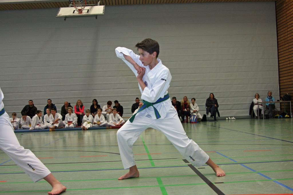 IMG_2908_bearbeitet-1