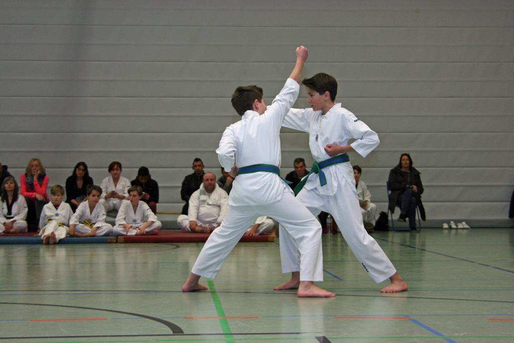 IMG_2912_bearbeitet-1