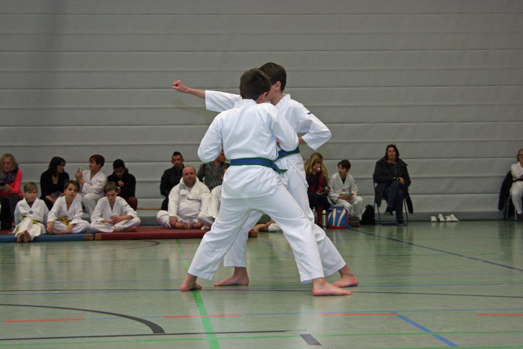 IMG_2915_bearbeitet-1