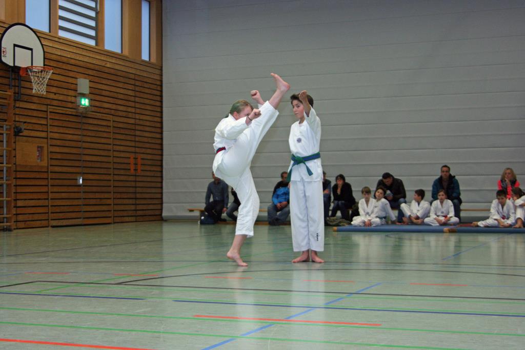 IMG_2956_bearbeitet-1